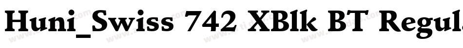 Huni_Swiss 742 XBlk BT Regular字体转换